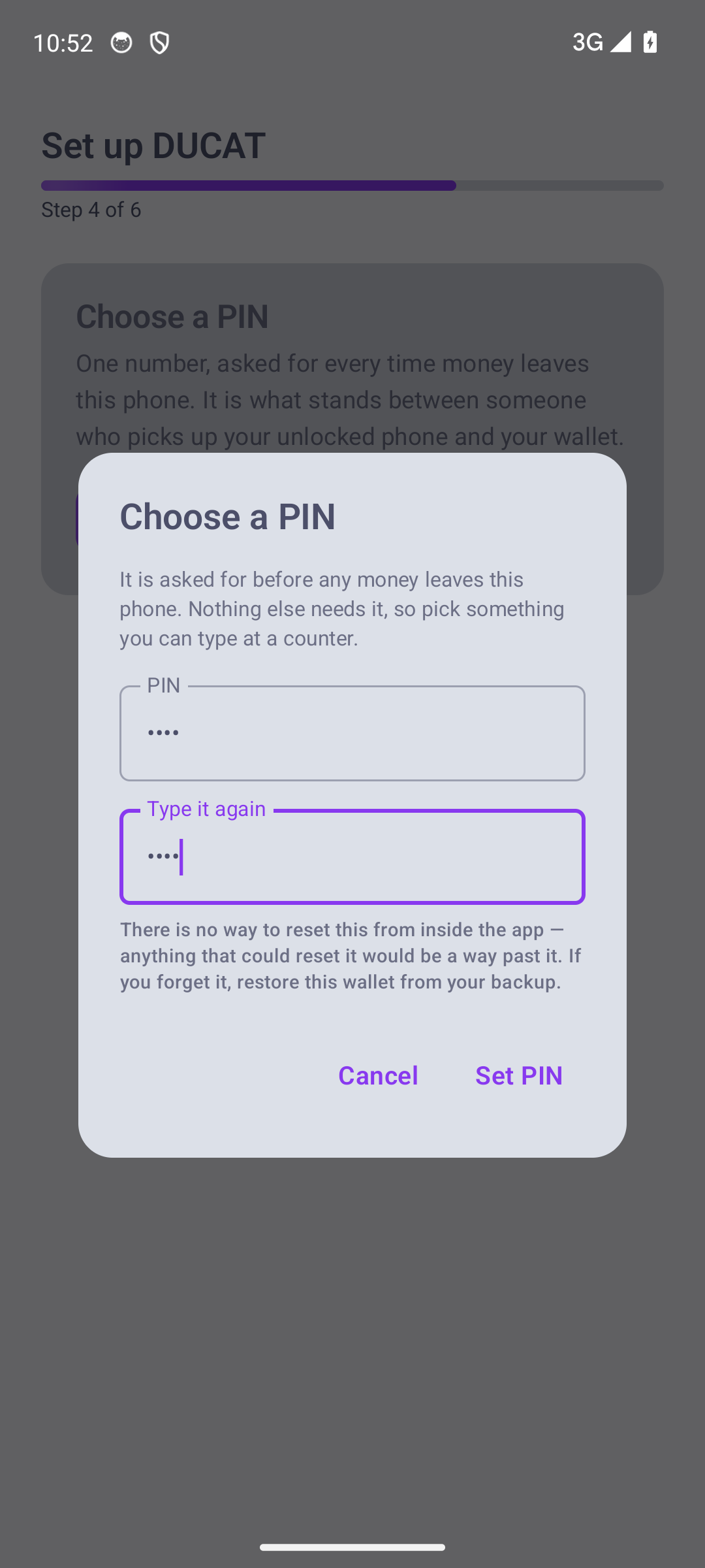 Step 4 of 6: choose a PIN, with the no-reset warning stated plainly