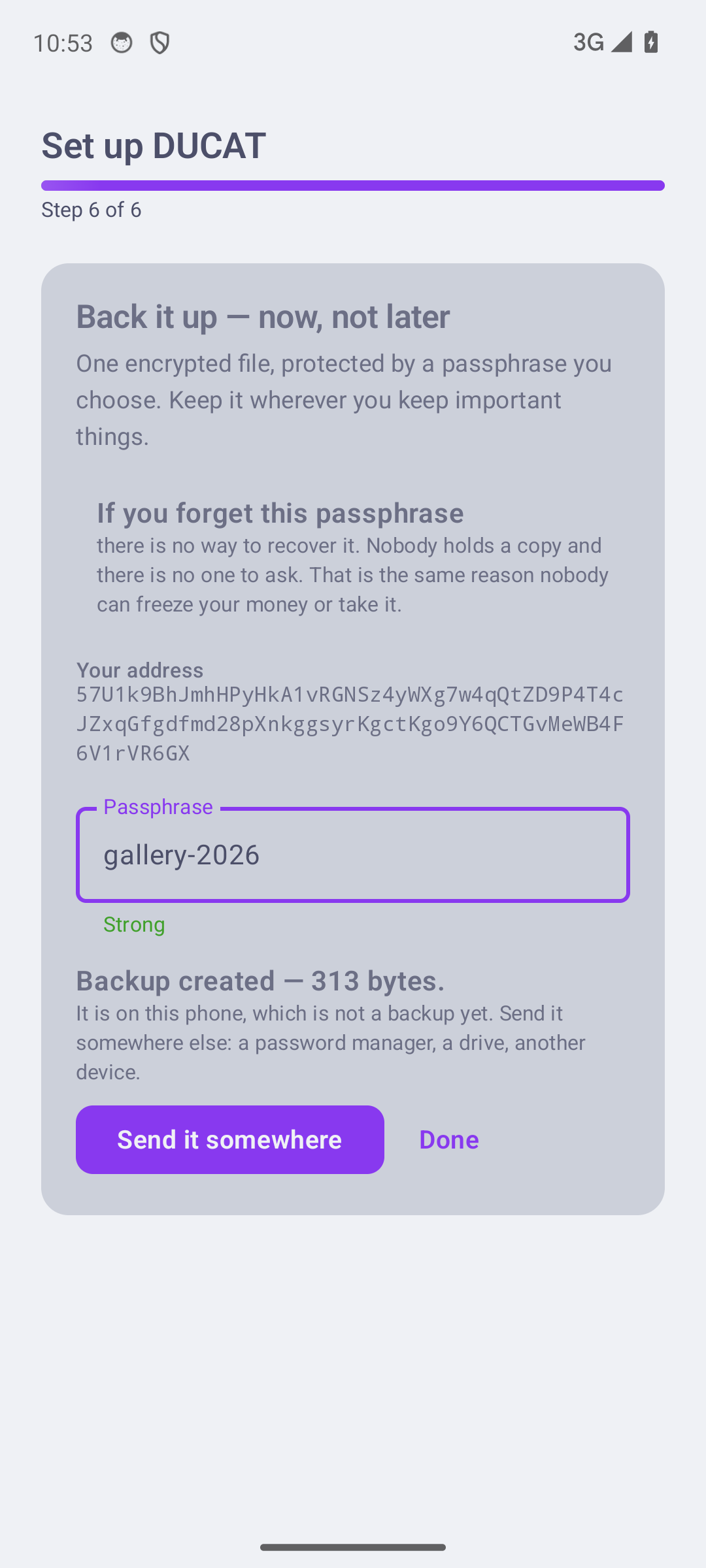 Step 6 of 6: the backup, honestly not a backup yet until it leaves the phone